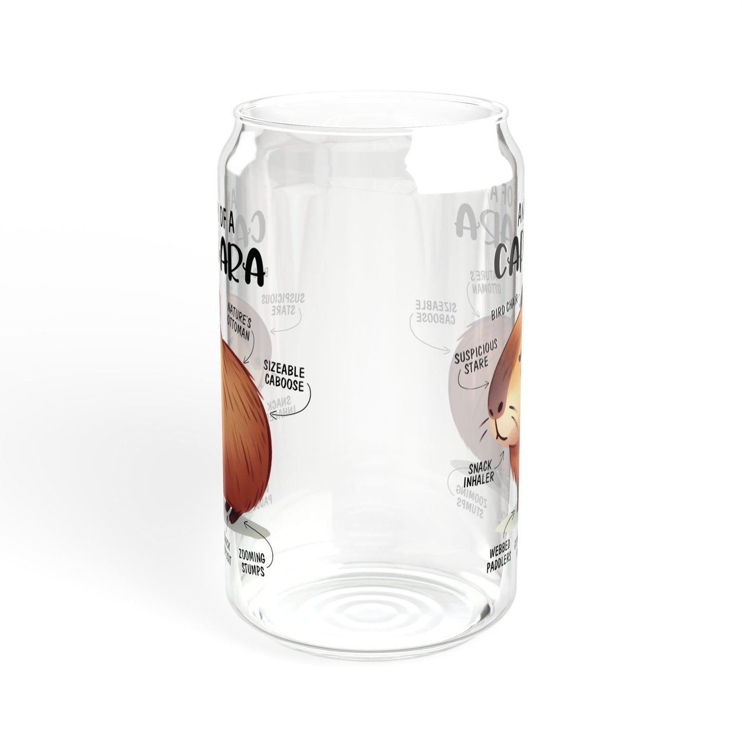 Capybara Anatomy Glass, 16oz